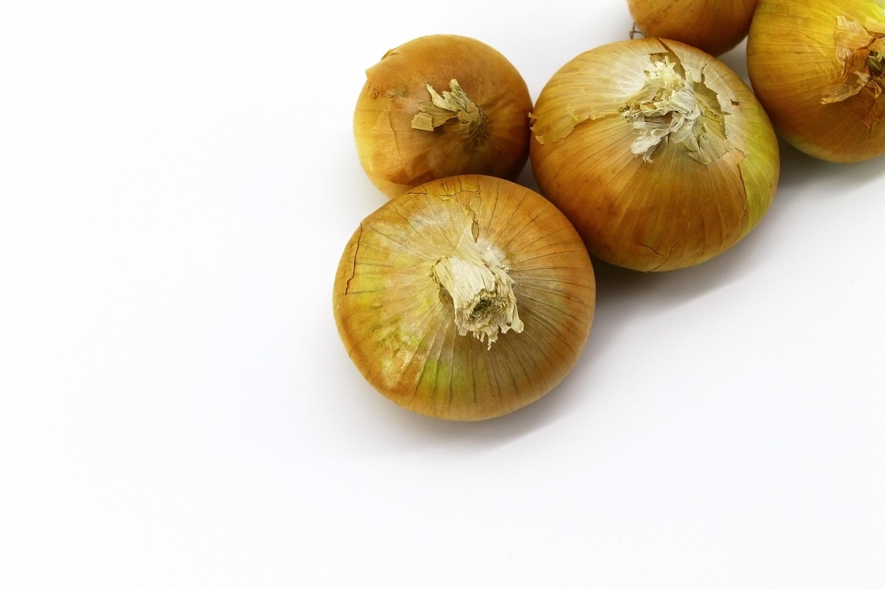 Sibul: kvertsetiin veresoonte kaitsmiseks ja prebiootikum inuliin